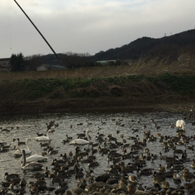 ムービーʕ•ᴥ•ʔの画像