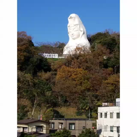 真実はいつもひとつの画像