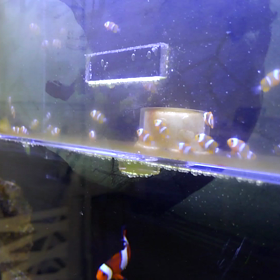 赤ちゃん いっぱいの画像