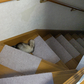 12月26日(火)～28日(木)　いつもの年末の画像