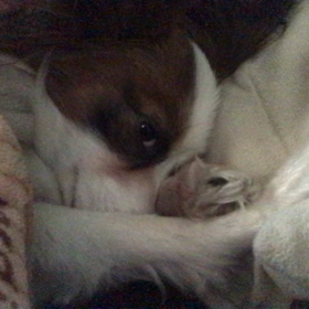 時間の使い方の画像