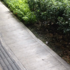 マレーシア一人旅 まとめ 1️⃣の画像