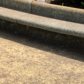 きょうの猫／動画の画像