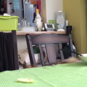 いたずらの画像