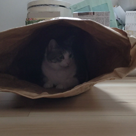 寒いよぉ～の画像