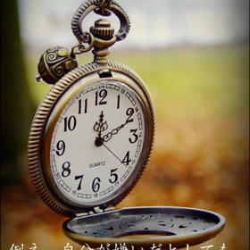 気ままに動画配信中の画像