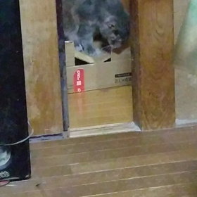 重いって(ｰｰ;)の画像