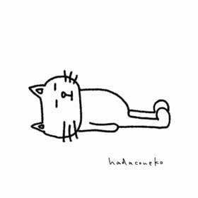 寝てる猫の画像