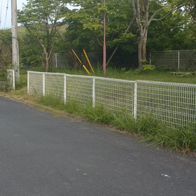 田舎の朝の画像