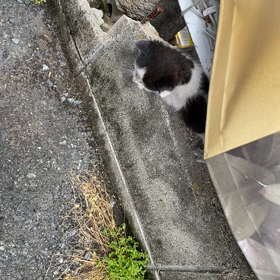 ☆動物病院で。の画像