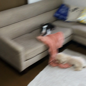 スッキリ☆の画像