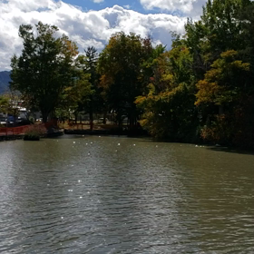 キラキラの画像