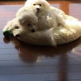 ひだまり。の画像