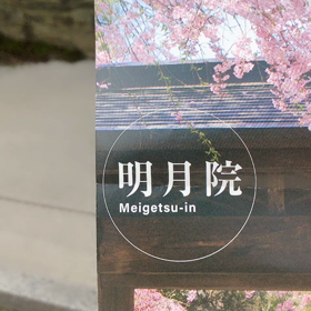 ざっくりの画像