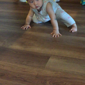 ハイハイの画像