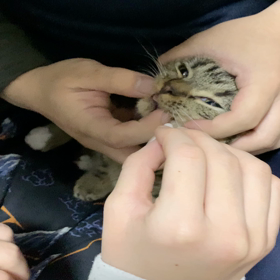 投薬7日目の画像