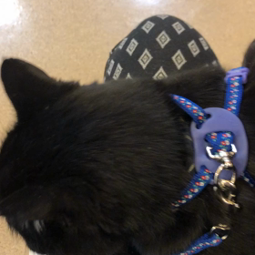 明日ダブルワークの研修初日の画像