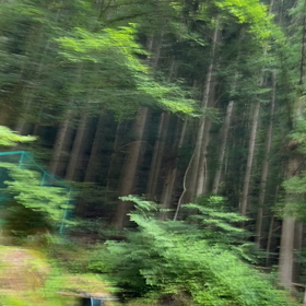 ひぐらし、合唱の画像