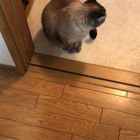 まあやのおやつの画像