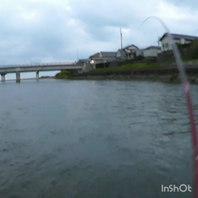 侍フィッシング‼️の画像