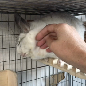 愛の時間の画像