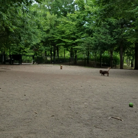 ☆動画☆の画像