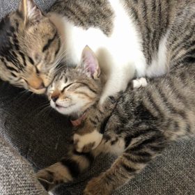 ほんとの親子みたい。の画像