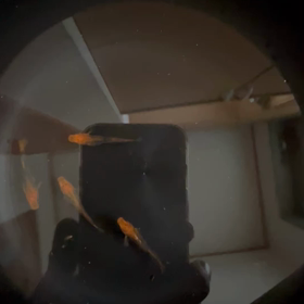 教えてくださいの画像