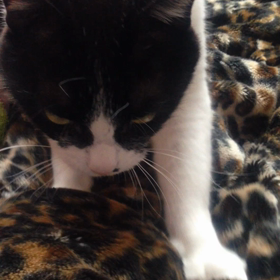 ▶︎マッサージの画像