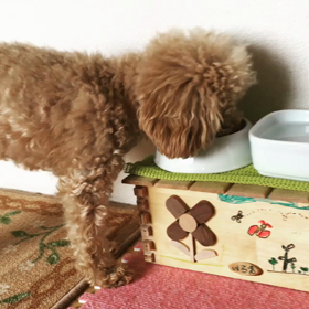 ご飯テーブルの画像