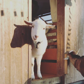 朝のまったりタイムの過ごし方。の画像