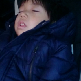 起きない…の画像