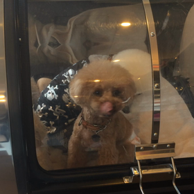 ⬛️8/2〜8/8＊酸素カプセルご利用のお友達⬛ ️2の画像