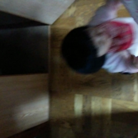 もふもふ。の画像