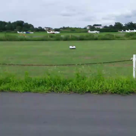 放し飼いの画像