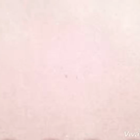 新曲始めましたの画像