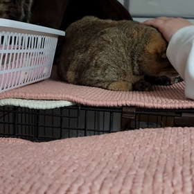 マッサージの画像