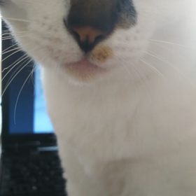 くうちゃんです(^^)の画像