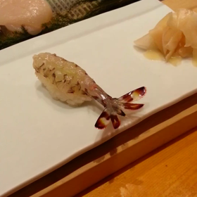 動くエビ！の画像