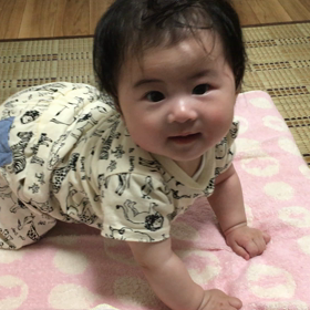 暴れん坊の画像