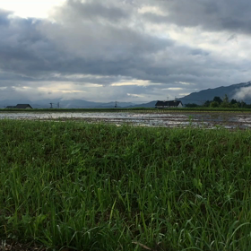 久々のいい天気( ^ω^ )の画像