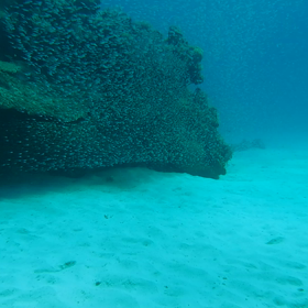 癒しの海の画像