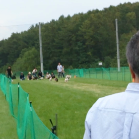 ルアーコーシングの画像