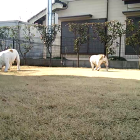雪の日の、御口直し♪の画像