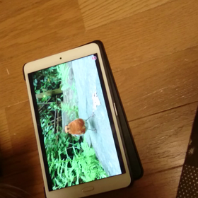 飼い主、寝られないの画像