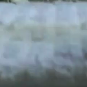 みゅうちゃんの画像