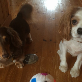 雨の日は...の画像