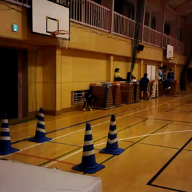 川越小練習 走り幅跳び(中)⑧の画像