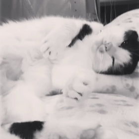 またまた…重たいですけどの画像