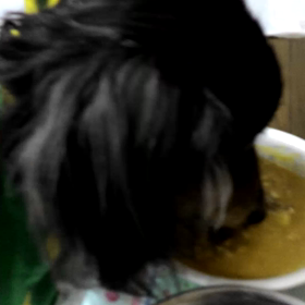 キティの食事がペーストに。の画像